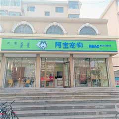 熊小可の宠物店