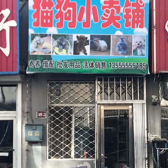 猫狗小卖铺