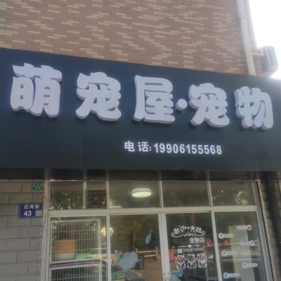 萌宠屋·宠物
